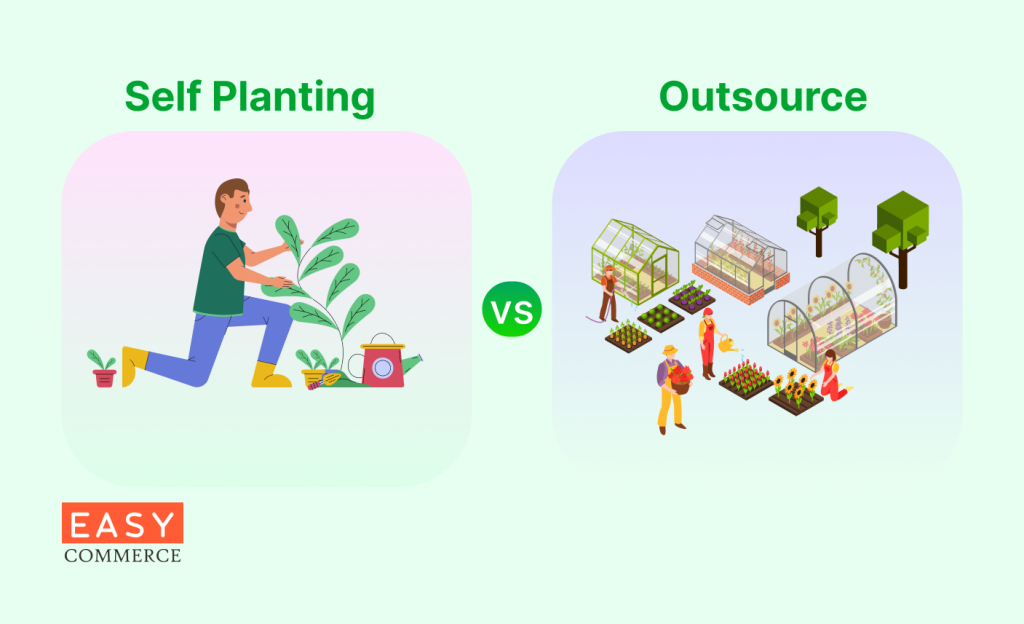 Sourcing Plants for Online Sale