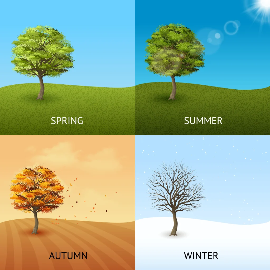 Seasonality